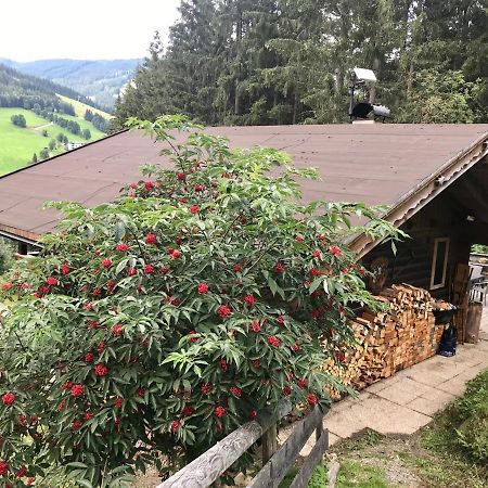 Wasserfallhuette Saalbach 外观 照片