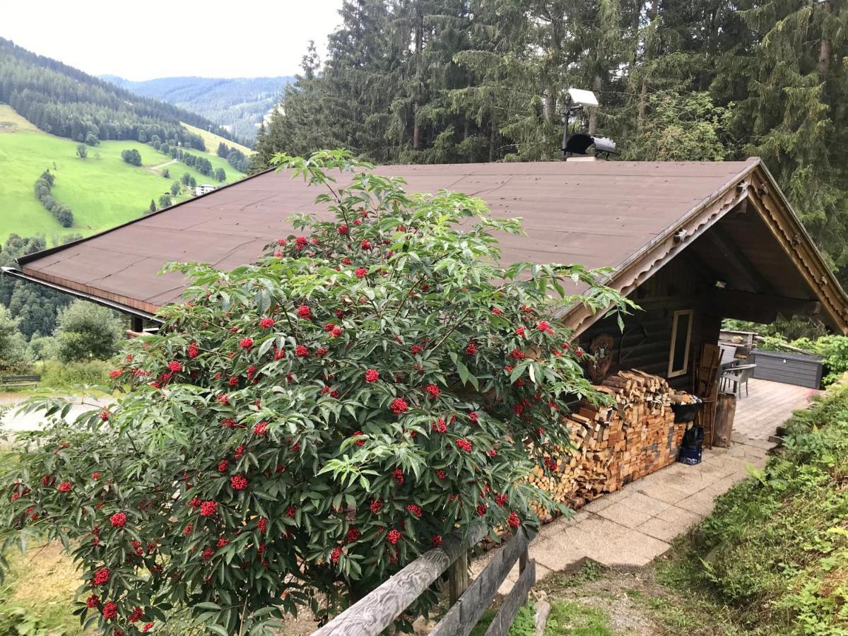 Wasserfallhuette Saalbach 外观 照片